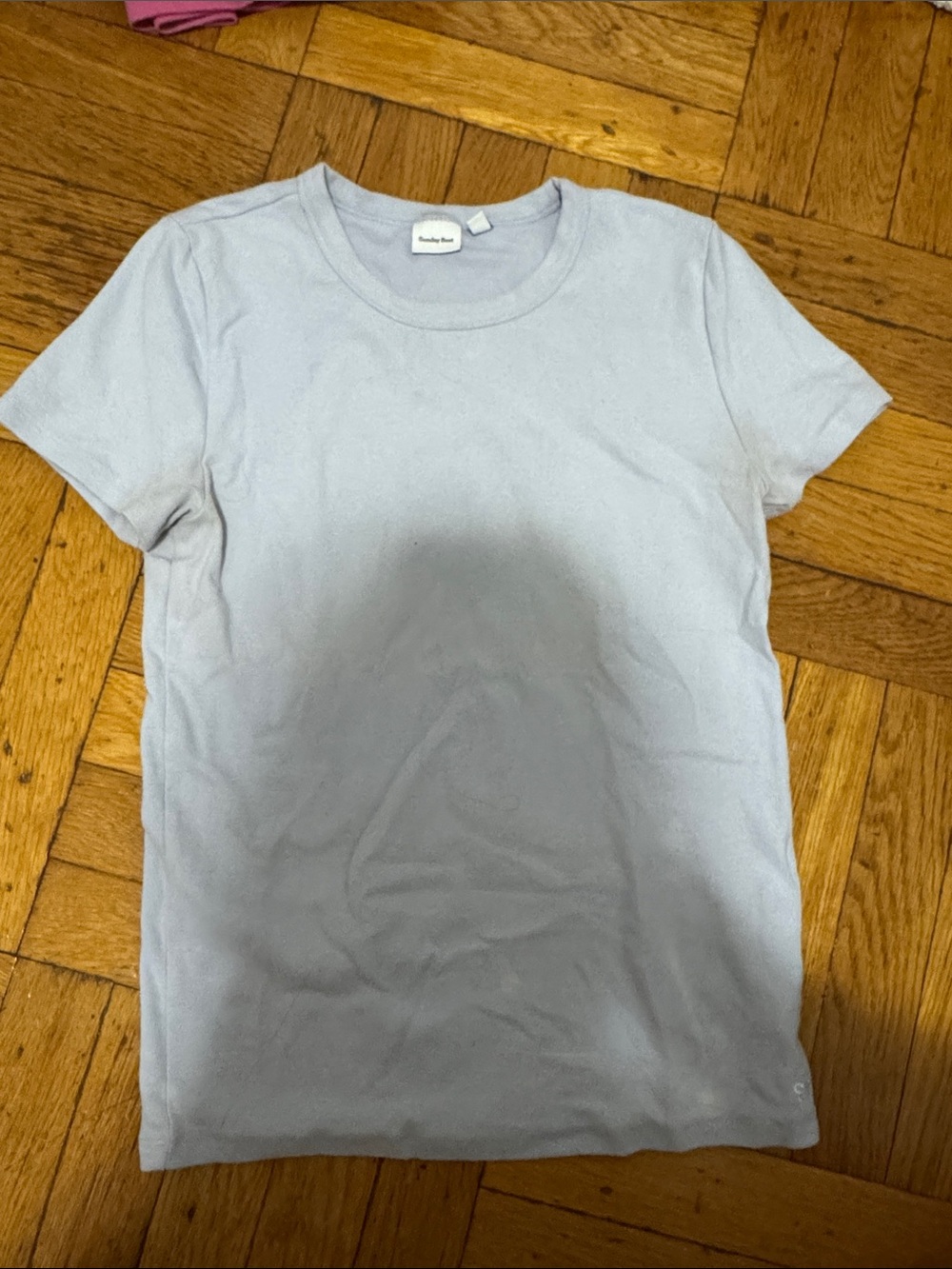 Aritzia Sunday best Pale Blue Short Sleeve Crew Tee